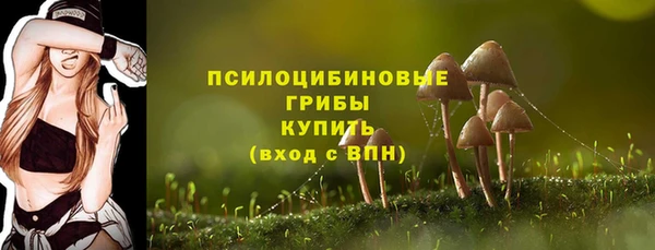 mix Гусь-Хрустальный