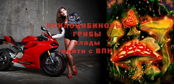 прущая мука Гусиноозёрск