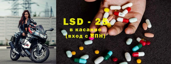 PSILOCYBIN Тайга