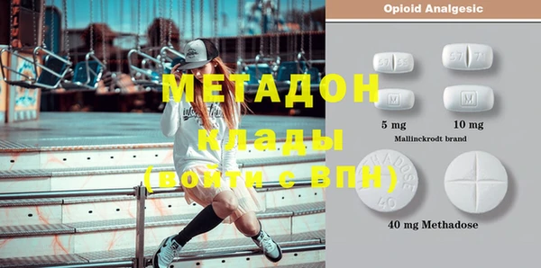 PSILOCYBIN Тайга