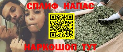 шишки Беслан