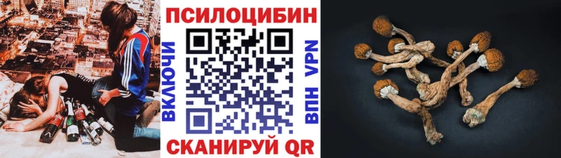 ссылка на мегу зеркало  Егорьевск  Галлюциногенные грибы прущие грибы  где купить наркоту 