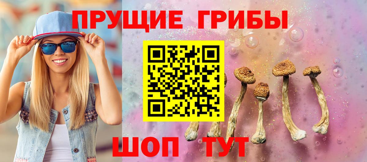 купить наркотики сайты  Галлюциногенные грибы MAGIC MUSHROOMS  Вход с VPN  Егорьевск 