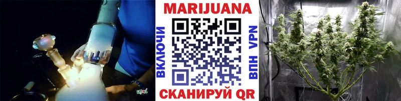 магазин продажи наркотиков  Егорьевск  Шишки марихуана планчик 